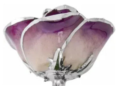 Rose - Lacquered Purple with Platinum Trim Item #: 61-9169:100000:T