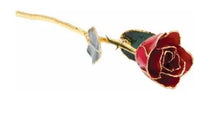 Rose -Red- Lacquered with Gold Trim Item #: 61-9141:236023:T