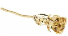 Rose - Lacquered 24K Gold-Plated Item #: 61-9140:236022:T