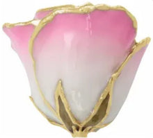 Rose - Lacquered Cream Pink with Gold Trim Item #: 61-9146:238746:T